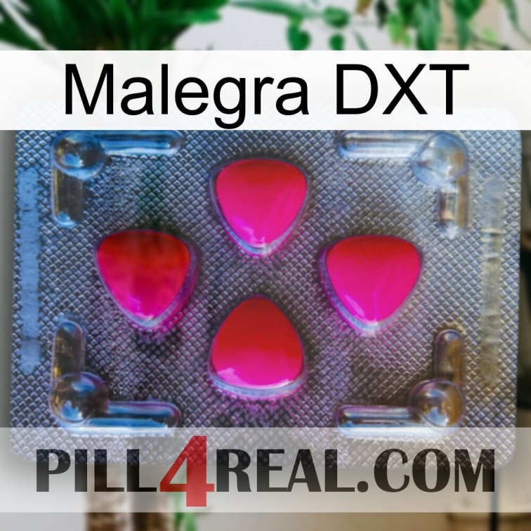 Malegra DXT 13